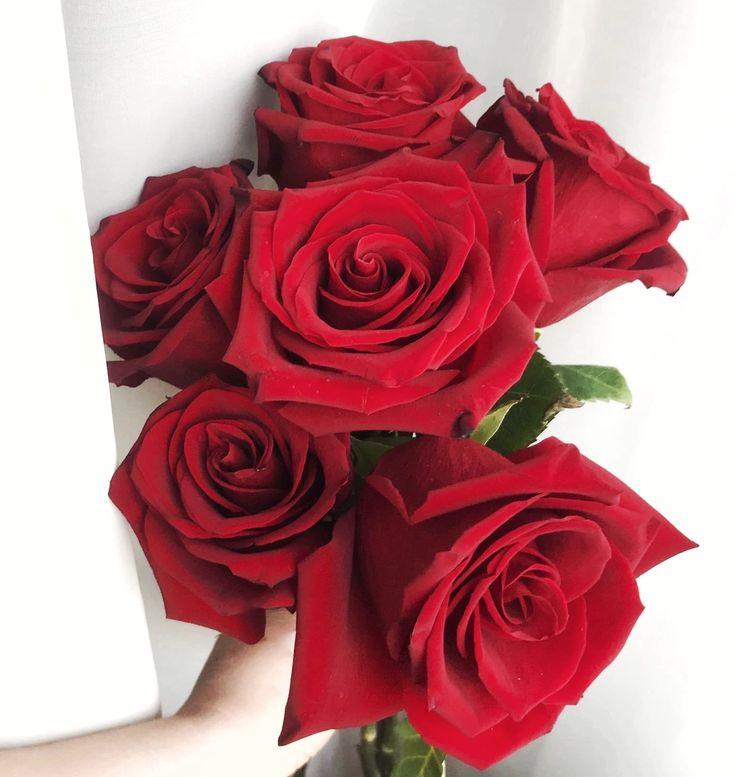 Corporate meeting room with carefully timed floral arrangements that maintain elegance throughout business hours